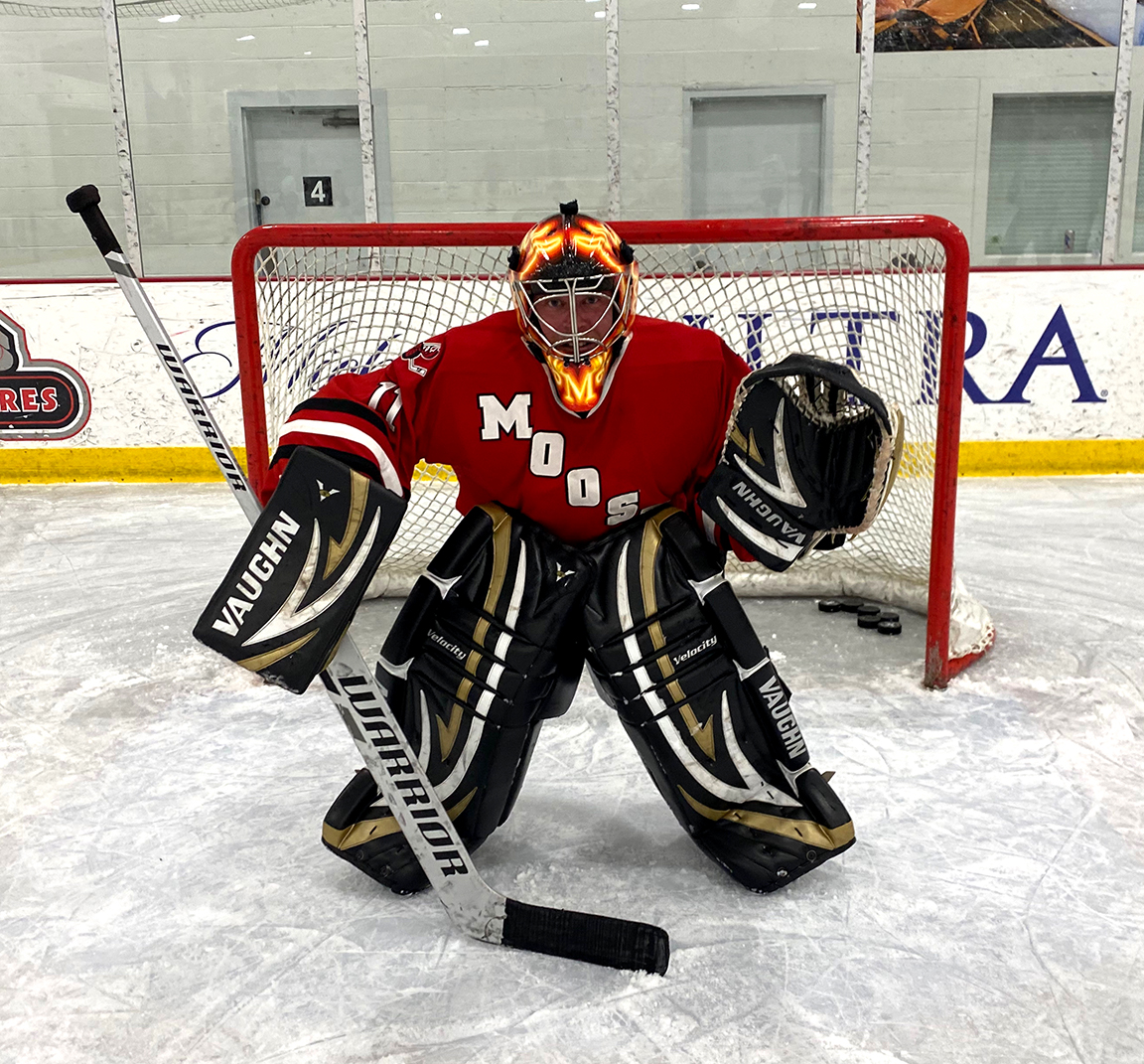 Borbay in Net